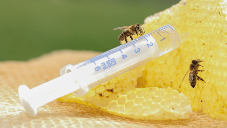 La fabuleuse Histoire de l’Apithérapie